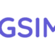 BIGSIM Logo