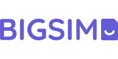 BIGSIM Logo